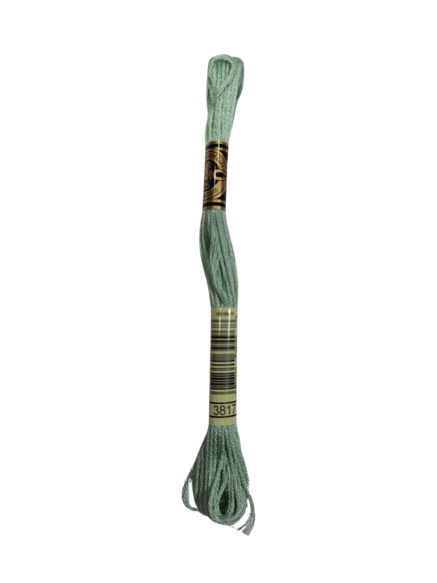 Fil DMC 3817